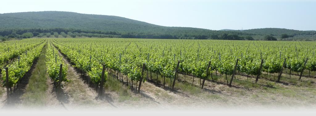 Le Stanze Di Zelinda Villa Suvereto الغرفة الصورة